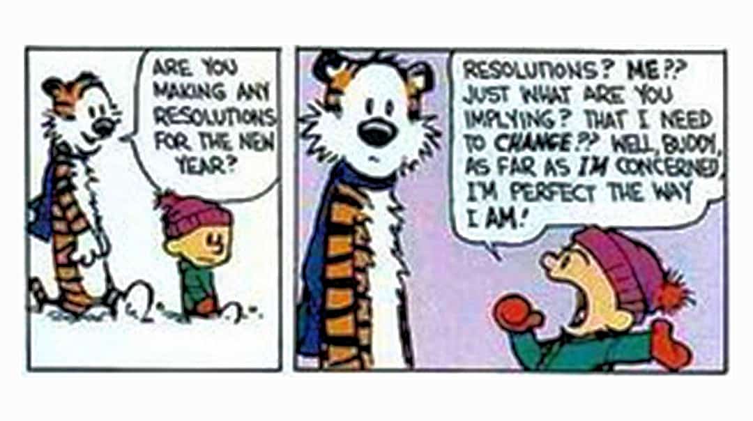 calvin and hobbes resolution